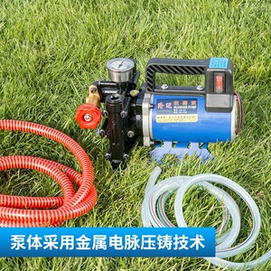 手提式打药机农用电动果树喷雾器12v48v60v220伏高压双缸柱塞药泵
