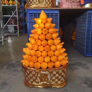 五代同堂大型室内盆栽年宵花喜庆大厅大堂摆件盆景盆栽五世同堂