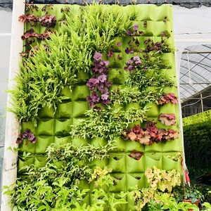 种植袋 花盆阳台种菜盆室内外绿植墙立体盆栽0人付款16