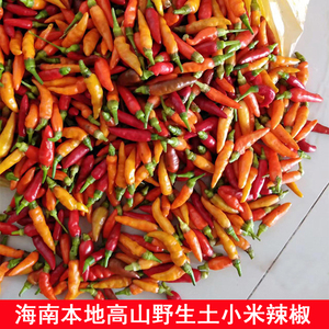 尹子贵淘宝云南特产酱油小雀辣270g魔鬼特辣珍珠泡椒小米辣新鲜野山