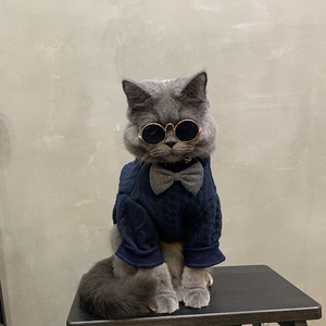 宠物英短蓝猫猫猫布偶猫可爱猫咪衣服潮牌小猫春装防掉毛公猫帅气