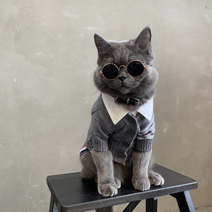 猫咪秋冬衣服宠物猫猫英短蓝猫毛衣布偶猫冬季防掉毛公猫帅气秋季