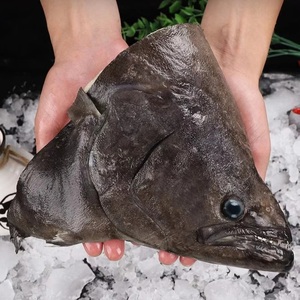 鸦片鱼头碟鱼头新鲜冷冻海鲜水产冷冻现切深海比目鱼头超大鲽鱼头