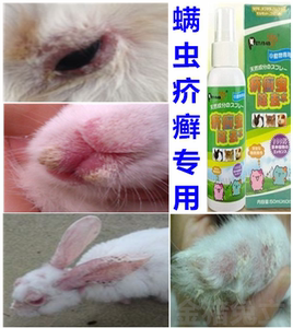 5021人付款淘宝兔爸爸皮癣专家兔子皮肤病药外用喷剂真菌感染耳螨疥螨