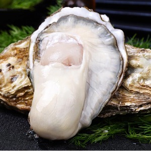 红岛生蚝鲜活海蛎子牡蛎新鲜海蛎子肉海鲜水产杜蛎5斤包邮