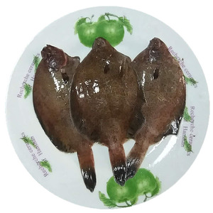 青岛鼓眼鱼鲜活古眼鱼新鲜高眼鱼比目鱼3斤包邮每斤5一9条