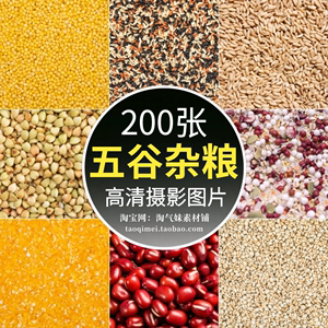 高清JPG五谷杂粮图片红豆绿豆小米黑米大豆玉米养生粗粮背景素材