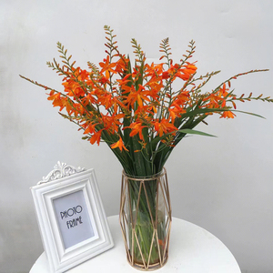 707人付款淘宝雀梅斗南香雪兰小仓兰火焰兰跳舞兰鲜花