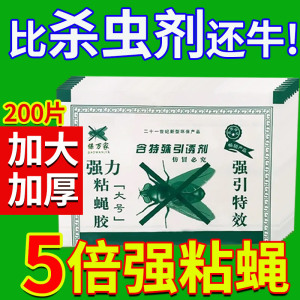 粘蝇纸苍蝇贴强力灭蝇蚊子板克星粘农村一扫光捕捉神器沾帖仓家用