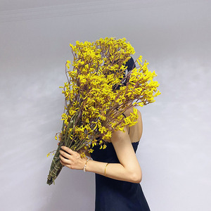 澳洲进口袋鼠爪风干干花家居客厅样板真花花束摆件黄色系永生花