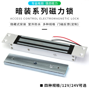 暗装磁力锁180kg/280kg/320kg嵌入式12v/24v小区广告门门禁电磁锁