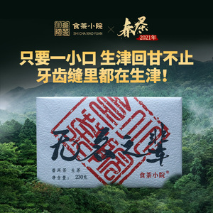 食茶小院【无名之辈】2020年春茶 版纳茶区 云南普洱茶生茶砖砖茶