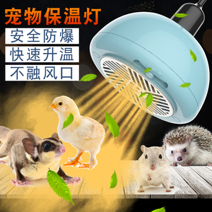 暖风机保温灯养殖蜜袋鼯芦丁小鸡加温取暖发热灯泡宠物温控暖空调