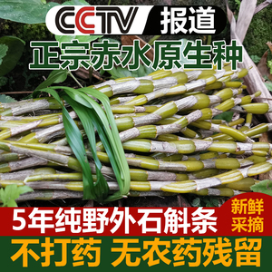 正宗贵州赤水金钗石斛鲜条新鲜老条精选5年老条新鲜采摘食用级