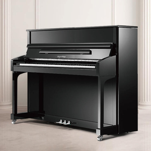 珠江恺撒堡钢琴ka