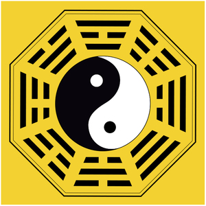 laanonymousy淘宝现代装饰画太极图八卦图易经周易知识学习阴阳鱼