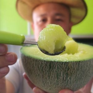 正宗海阳网纹瓜软糯孕妇罗网文瓜 口口密静冈山东香瓜特产4.5-5斤