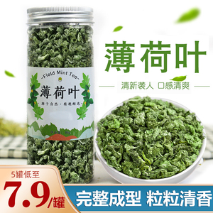 薄荷茶叶干薄荷叶新鲜可食用泡茶水喝的东西清凉凉茶花茶夏季茶叶