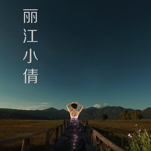 云南丽江小倩手鼓cd 流行歌曲汽车音乐光盘 无损黑胶碟片1cd 试听