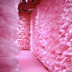 鸵鸟毛网红羽毛墙桑巴舞鸵鸟毛服装白色大羽毛装饰舞台演出服装