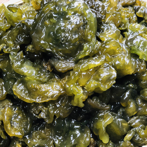 地皮菜新鲜食用湿地衣地木耳雷公菌500g