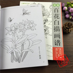 初学者之友 国画百花白描画谱线描初学基础 临摹稿 花卉百花白描