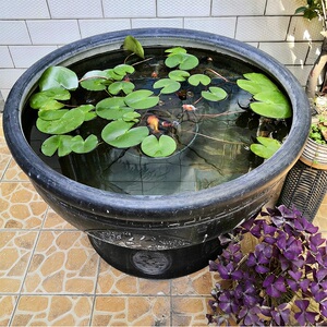 家用古法养鱼鱼缸客厅阳台室外庭院门海种荷花泥瓦盆黑陶无釉大型