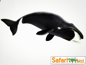 Safari Ltd美国正品 弓头鲸 20CM海洋鱼类动物模型儿童玩具205529