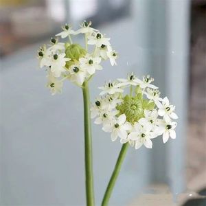 仿真伯利恒之心天鹅绒假花室内装饰家居摆件拍摄道具欧式客厅花束