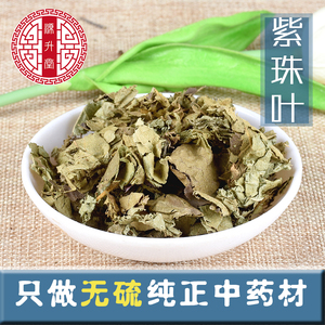 紫珠草紫竹叶风叶