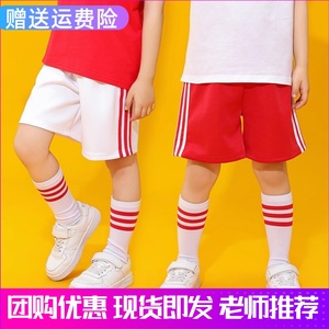 小学生表演服红色校服裤儿童跑步运动短裤薄款男童夏季裤子五分裤