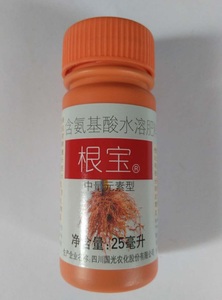 国光根宝