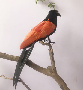 89批发羽毛鸟淘宝仿真羽毛红毛鸡假媒园林装饰假鸟工艺品摆件摄影