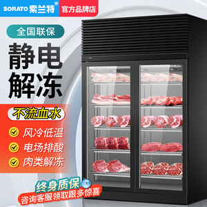 高压静电解冻柜商用低温冷藏缓化大容量猪羊牛肉抑菌化冻机排酸柜