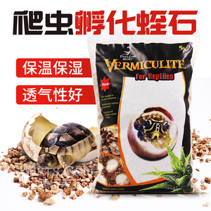 【变色龙卵】变色龙卵品牌,价格 - 阿里巴巴