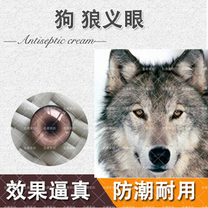狗标本义眼狼假眼大灰狼效狼仿真眼球定做眼珠犬科动物眼睛定制