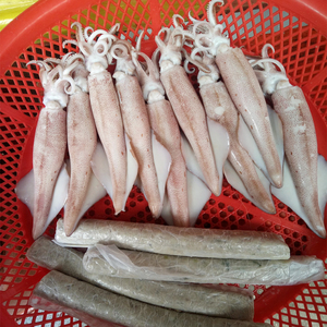 新鲜海鲜 熟籽鱿鱼仔 即使原味熟鱿鱼满籽羔尤墨鱼仔笔管鱼 500g