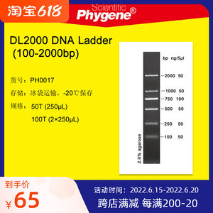 dl2000marker条带梯度图片