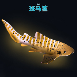 鹦鹉螺模型-淘宝拼多多热销鹦鹉螺模型货源拿货 - 阿里巴巴货源