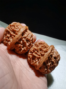 44中华大花狮子头2029野生文玩核桃已打底满天星大粗筋手疗按摩器