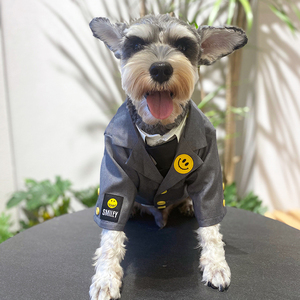 【狗狗西装礼服结婚】狗狗西装礼服结婚品牌,价格 - 阿里巴巴