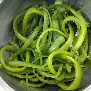 裙带菜梗干货