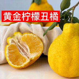 正宗高山蒲江柠檬不知火丑橘脆甜爽口新鲜应季水果丑柑