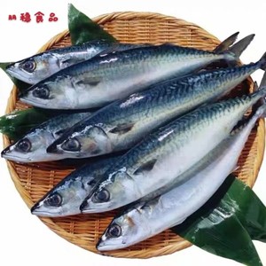 807人付款淘宝冷冻青条鱼青花鱼鲭鱼青占鱼一斤约3