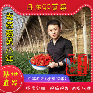 玲珑草莓丹东99草莓九九新鲜大果东港红颜奶油牛奶孕妇助农水果