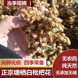 杭州塘栖农家枇杷花干花蕾琵琶花泡茶食用当季新货2024年