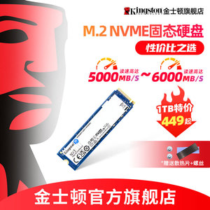 金士顿NV3 500G/1T/2T 高速固态硬盘台式机电脑 ps5游戏笔记本ssd