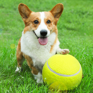 狗狗玩具球狗解闷狗网球宠物足球金毛柯基边牧玩具狗狗球宠物用品