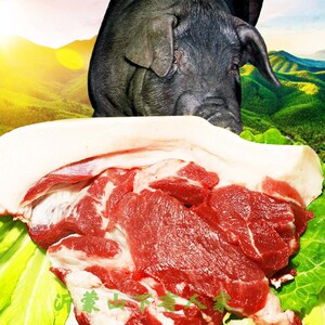 沂蒙山黑猪肉500g天然散养黑猪肉土猪肉山猪肉排骨五花肉前后腿肉