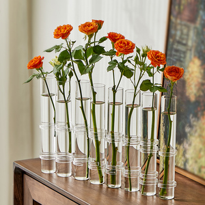 一排试管花瓶家居水培鲜花玻璃装饰品摆件室内创意干花插花小器皿